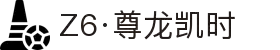 Z6·尊龙凯时「中国」官方网站